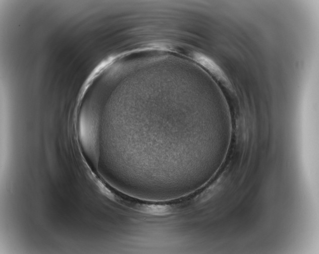 X0000087051180200704181230