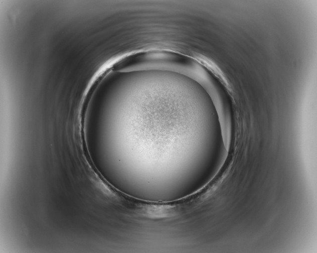 X0000087051184200704181230