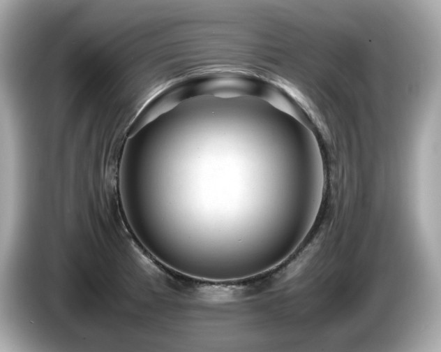 X0000087051185200704181230