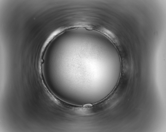 X0000087051188200704181230