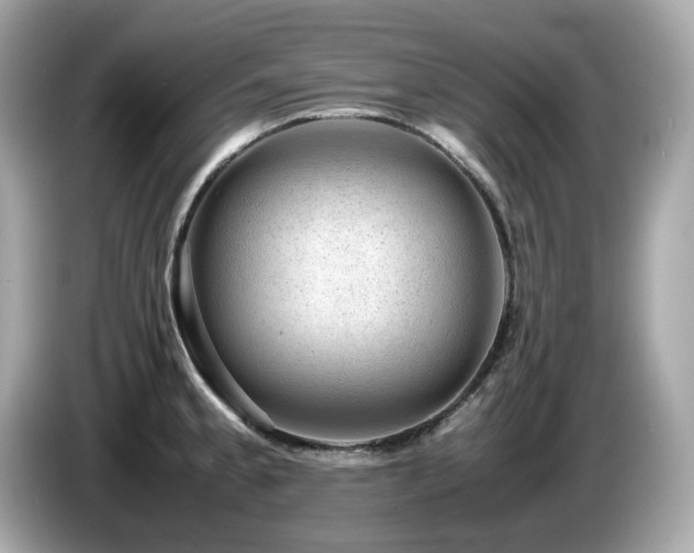 X0000087051189200704181230