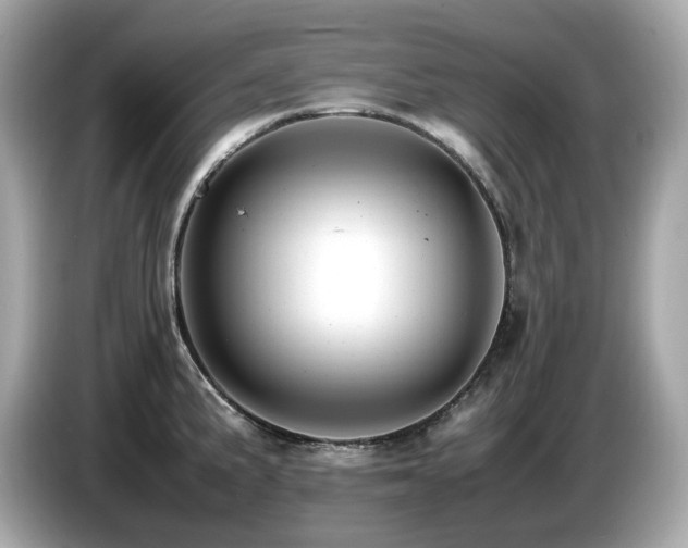 X0000087051191200704181230