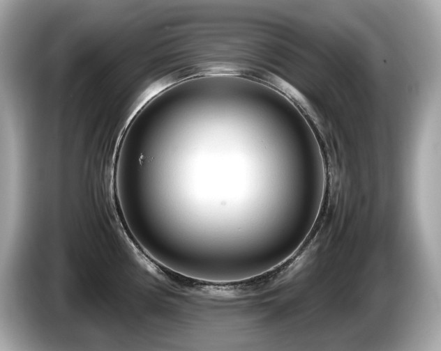 X0000087051194200704181230