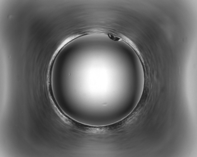 X0000087051195200704181230