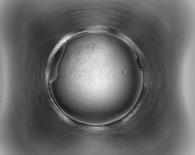 X0000087051196200704181230