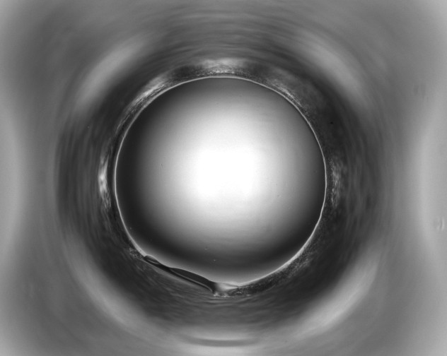 X0000087051198200704181230
