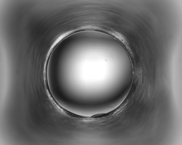 X0000087051199200704181230