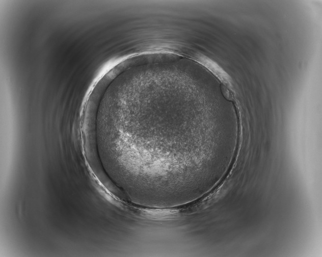 X0000087051200200704181230