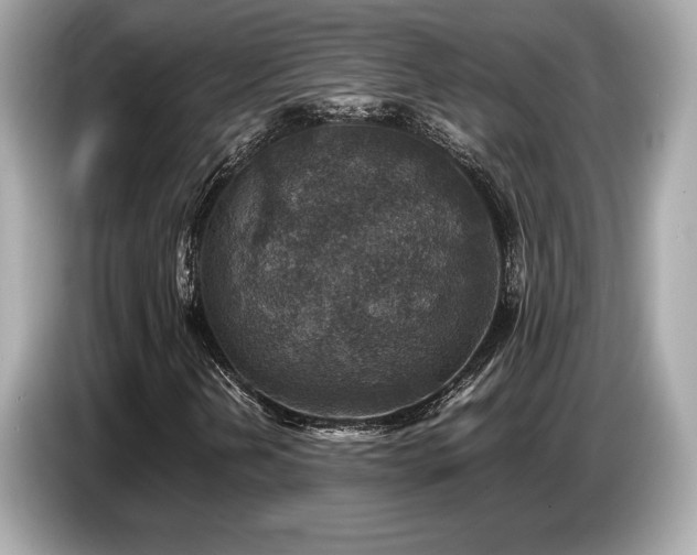 X0000087051202200704181229