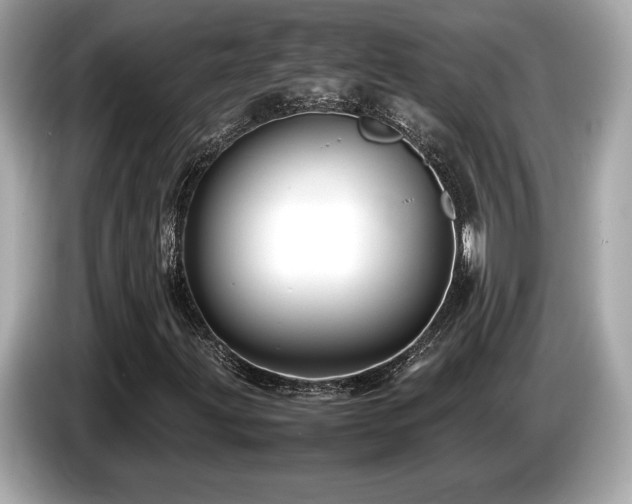 X0000087051203200704181229