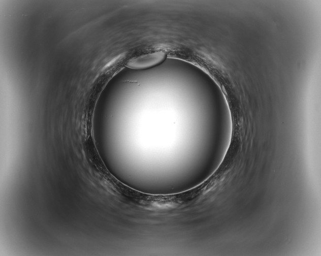 X0000087051205200704181229