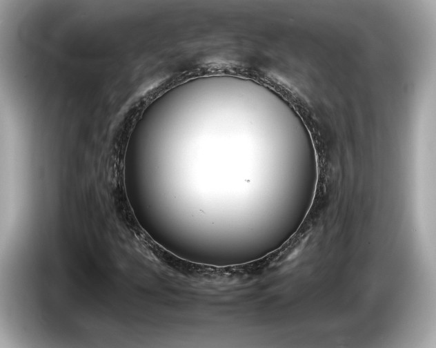 X0000087051207200704181229