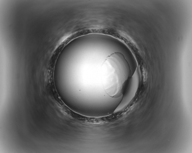 X0000087051208200704181229