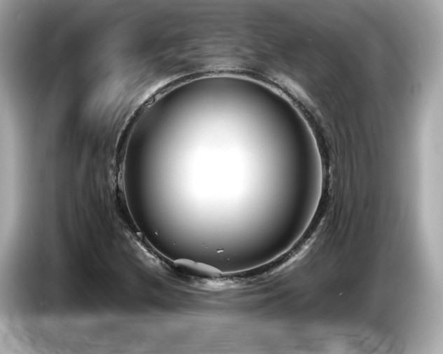X0000087051212200704181229