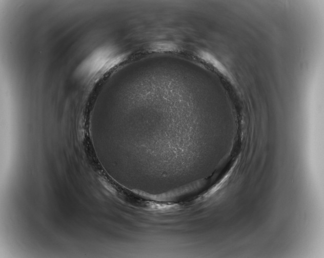 X0000087051213200704181229