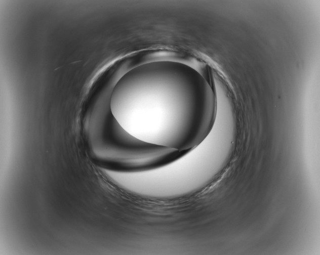 X0000087051215200704181230