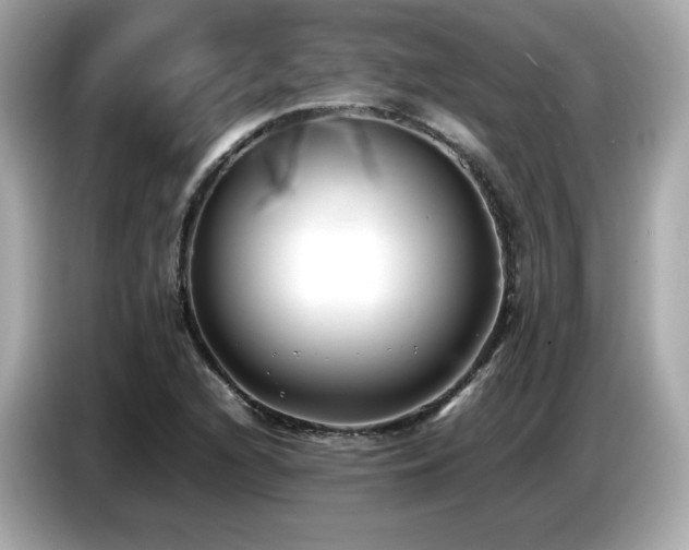 X0000087051216200704181230