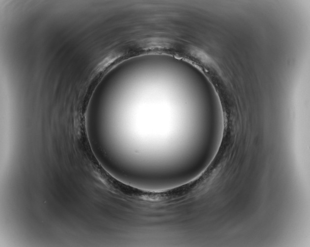 X0000087051217200704181230