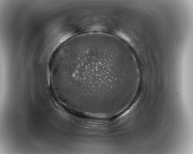 X0000087051219200704181230