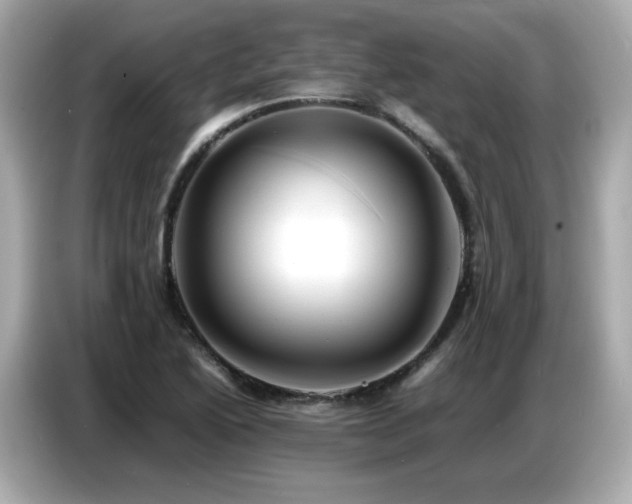 X0000087051222200704181230