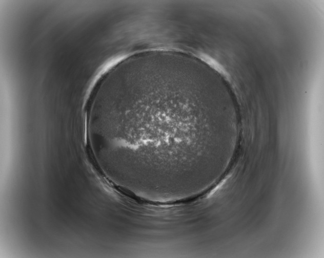 X0000087051223200704181230