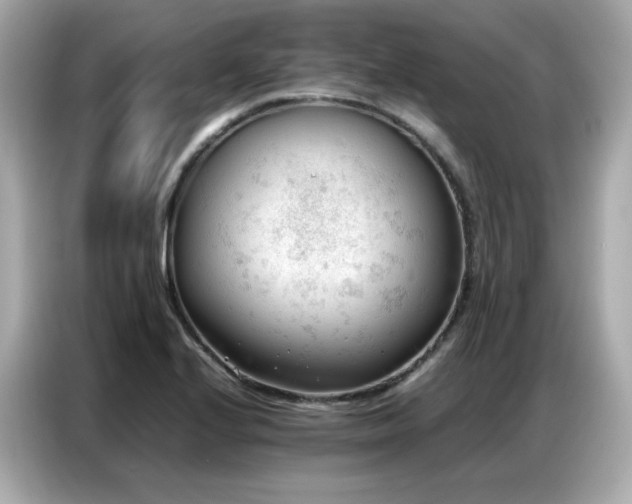 X0000087051224200704181230