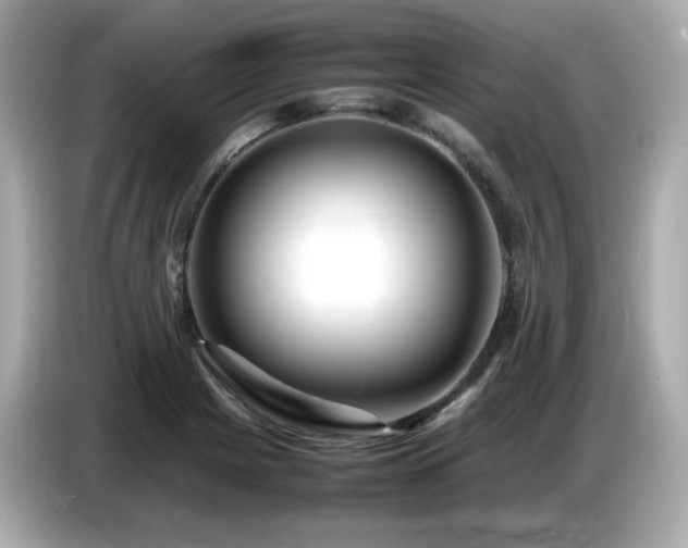 X0000087051225200704181230