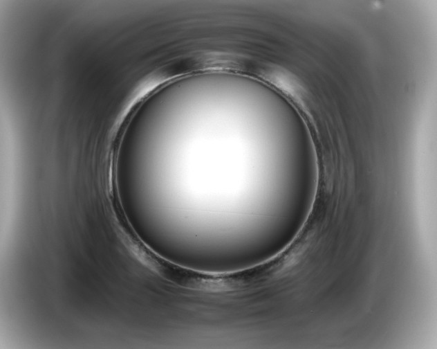 X0000087051227200704181230