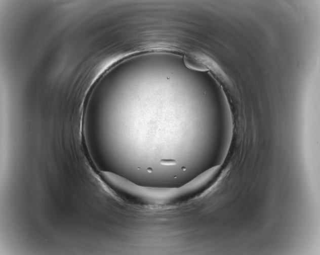 X0000087051228200704181230