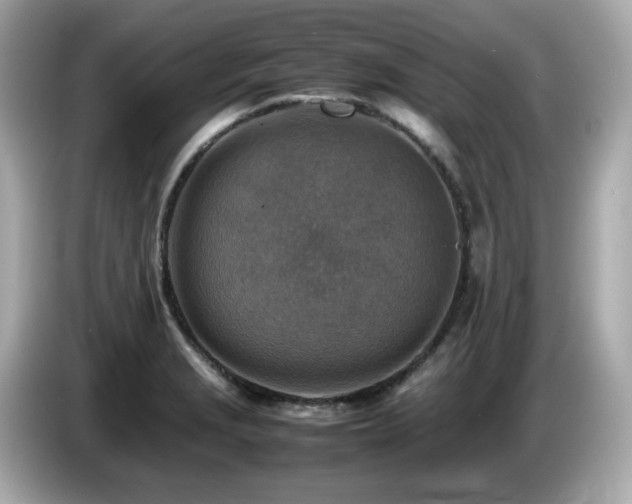 X0000087051229200704181230