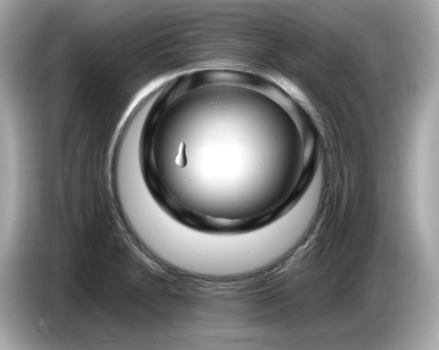 X0000087051230200704181230