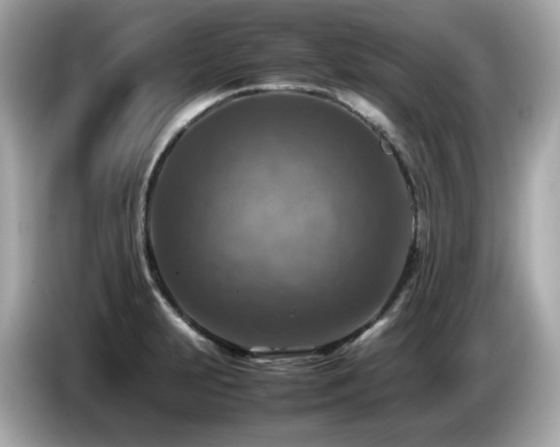 X0000087051231200704181230