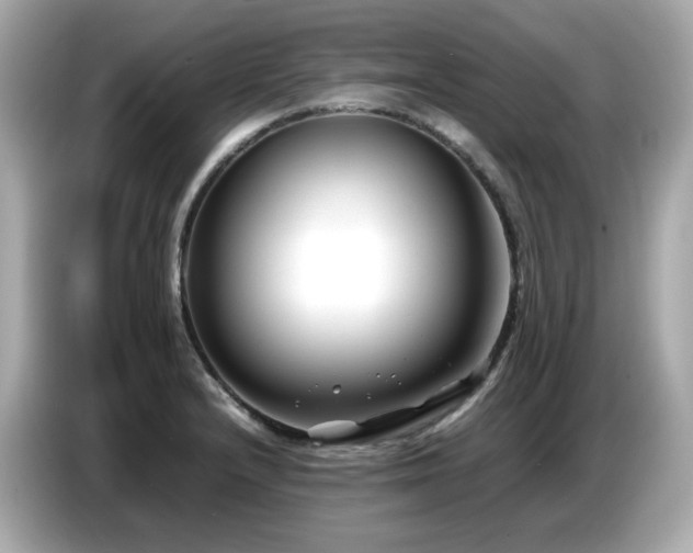 X0000087051232200704181230