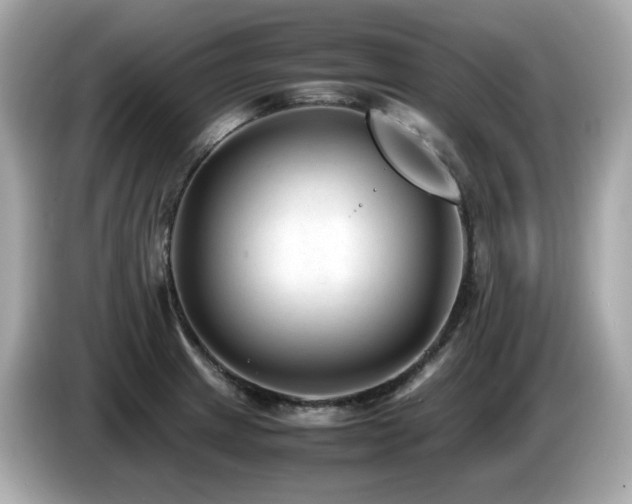 X0000087051233200704181230