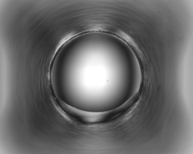X0000087051234200704181230