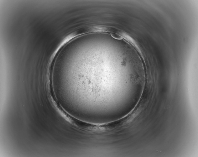 X0000087051235200704181230