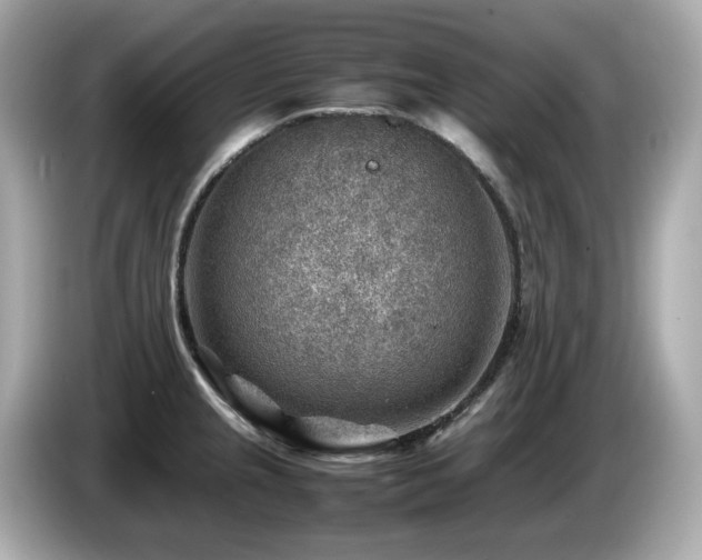 X0000087051237200704181230