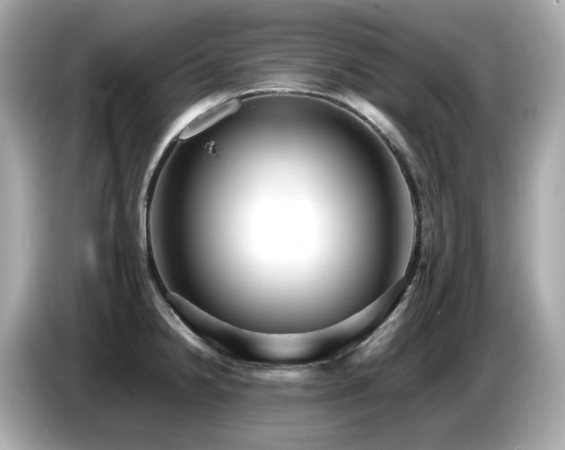 X0000087051238200704181230