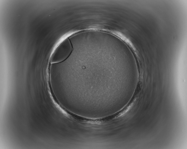 X0000087051239200704181230