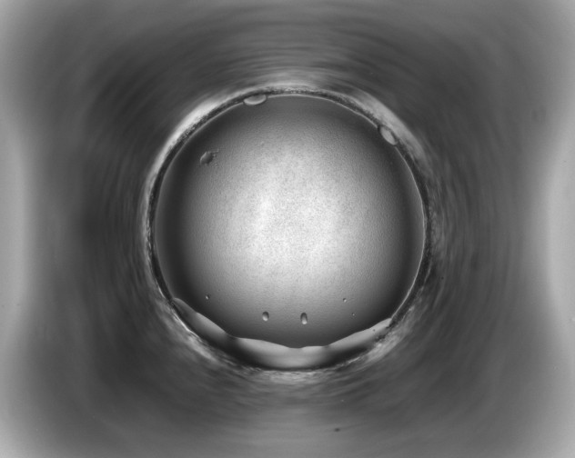 X0000087051240200704181230