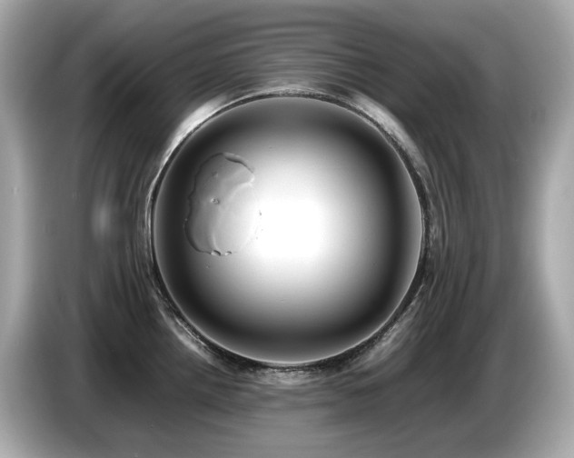 X0000087051242200704181230