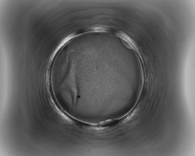 X0000087051243200704181230