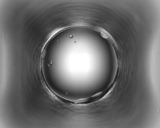 X0000087051244200704181230