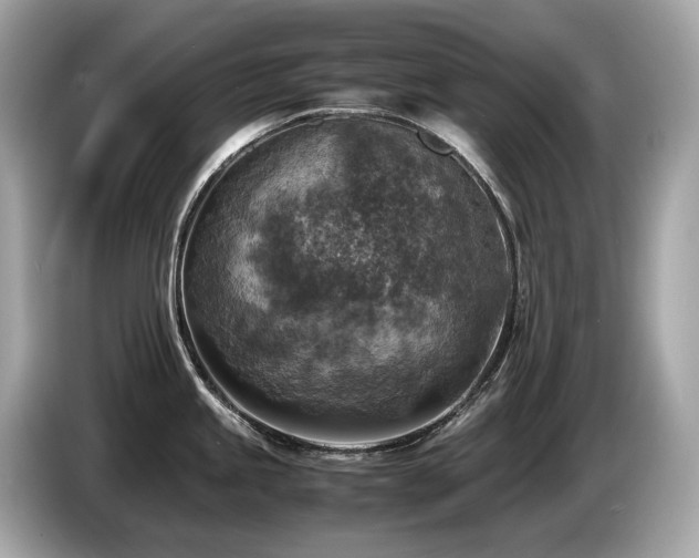 X0000087051245200704181230