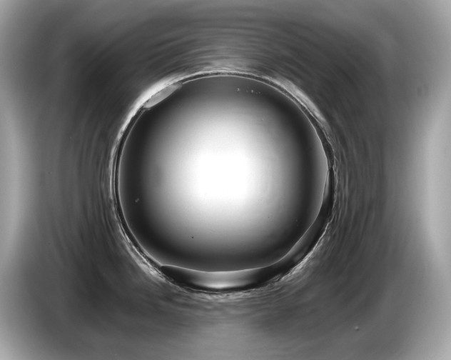 X0000087051246200704181230