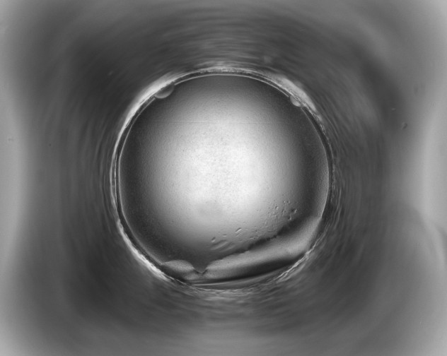 X0000087051247200704181230