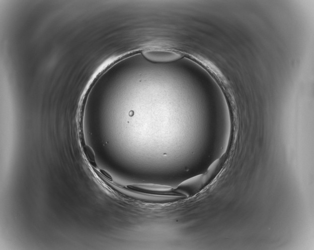 X0000087051248200704181230