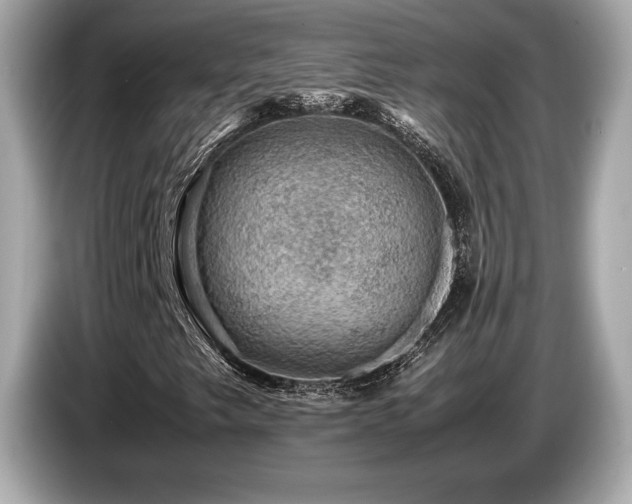 X0000087051249200704181229
