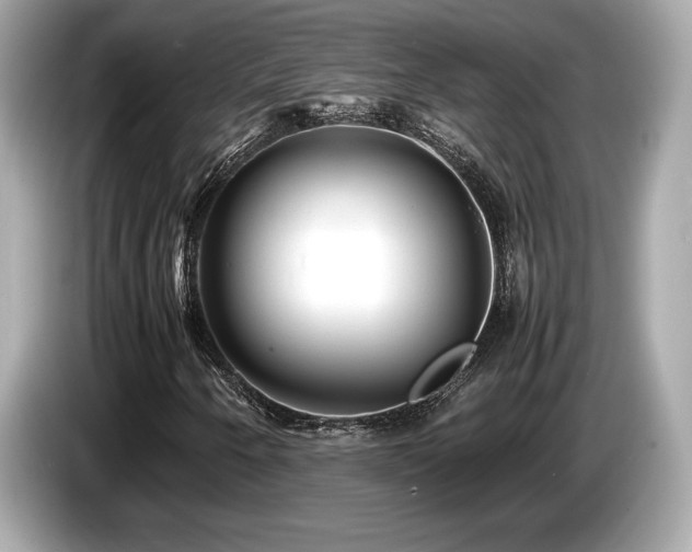 X0000087051250200704181229