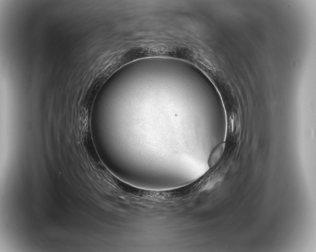 X0000087051251200704181229